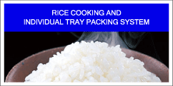 Rice Cooking and Individual Tray Packing System